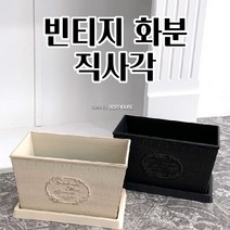 넓은 화분 22X12X12CM 직사각 빈티지 분갈이 플라스틱 공화분 귀여운화분 심플한화분 빈티지화분, 화이트