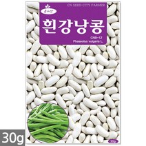 노랑 당근 씨앗 2000립 - 씨 당근씨앗 당근씨 노란색당근 노랑당근씨앗 노란당근 주말농장 텃밭, 22_흰강낭콩(30g)