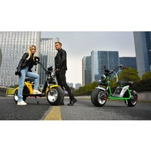 세발 전기 자전거 성인 삼륜 Sportsters-전기 리튬 배터리 60V30A3000W 시티 코코 스쿠터 찌 여행 헬기, [04] black 60v3000w30a