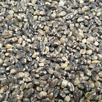 국산 검정보리 2kg 흑보리 블랙보리