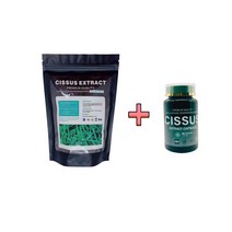 모닝큐 시서스 빅세일 50배 고농축 분말 추출물 시서스 가루 1개 250g + 시서스 캡슐 60정 1정당 500mg 13개월분, 시서스가루 1팩 250g