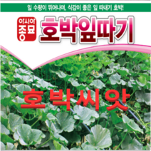 (아시아종묘)호박씨앗종자 호박잎따기 (70립) 2봉
