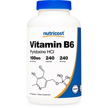 뉴트리코스트 비타민 B6 피리독신 HCl 100mg 캡슐 글루텐 프리, 240개입, 1개, 240정
