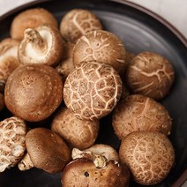 GAP인증 무농약 당일수확 생 표고버섯 3kg (특품), 단품
