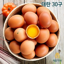 [오늘낳은 달걀] HACCP농가 에그트리 생계란, 1개, 대란, 30구