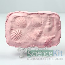 sc 사이언스키트 화석표본액자 4인용 화석의생성원리, 단품