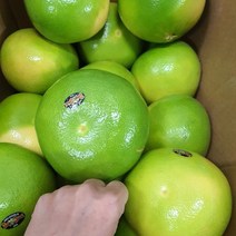 메로골드 미국 청자몽 40입 16kg내외(중과400g내외)