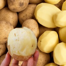 엄마미 국내산 햇 두백 감자 3kg 5kg 10kg, 두백감자(특), 1개