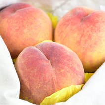 [팜쿡] 의성 딱딱이 복숭아 4kg 중소 20-24과(개당160-200g), 단품