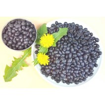 자연나라닷컴 서리태1kg 속청 서리태콩 검은콩 검정콩 국내산