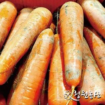 청원농산 국내산 햇당근 흙당근3kg 5kg 10kg, 중, 1개