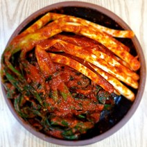 뚱순네김치 대파김치1kg 모든재료 국내산100%, 1개