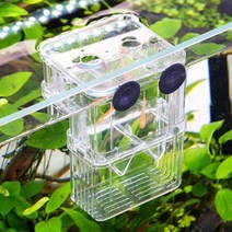 어항 물고기 열대어 구피 치어 흡착식 부화통 KK417, 부화 통 어항/소형