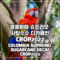 (커피생두) 140 콜롬비아 슈프리모 사탕수수 디카페인-CROP2022 1kg