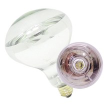 남영 신광 적외선 열전구 185W 250W 보온전구 적외선 발열 히터 난방 축사 축산 양계장 사육등 원적외선, 신광 적외선 전구 185W, 1개