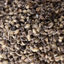 [마을기업] 무농약 찰보리쌀 강호청찰보리쌀 자수정찰보리쌀 흑보리쌀 잡곡 무농약인증 1kg 2kg 4kg 10kg(선물세트1.8kg/누룽지향찹쌀/강호청보리쌀/누리찰보리/흑미), 1팩, 흑보리쌀1kg