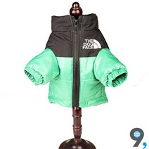 강아지경량패딩 명품패딩 올인원패딩 개타고니아 발열 초경량 패딩점퍼 애견의류 누빔 애견겨울옷, XS, Green