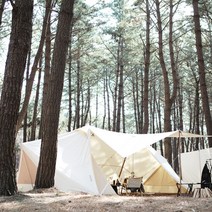 네이처하이크 슈퍼포레스트 쉘터 면텐트 캠핑 차박텐트, 단일속성