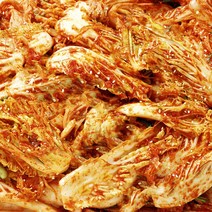 [당일제조] 국내산 재료로 만든 겉절이 생 김치 1kg 2kg 3kg 5kg, 겉절이 3kg, 1개