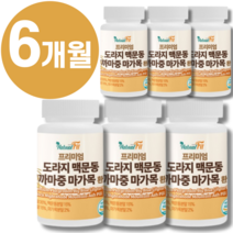 100% 국산 맥문동 도라지환 까마중 볶은 맥문동가루 마가목 환 기침 가래 기관지염에 좋은 약 가래 기침약 기관지 영양제 염증 천식에 좋은 약 식약처 인증 +종근당 사은품, 6통_600g