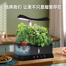 수경재배기 식물 수직농장 비닐하우스 자재 새싹 타워, 수지밝은회색업그레이드양어법수경재배기계중간