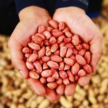 껍질째먹는땅콩 구매률 높은 추천 BEST 리스트