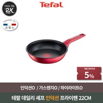 테팔 데일리셰프 인덕션 후라이팬, 1개, 22cm