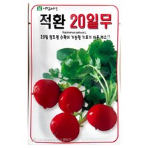 적환20일무씨앗 5g 적환20일무 무씨앗