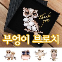 부엉이 브로치 뱃지 어버이날 스승의날 브로치 스승의날 뱃지 어버이날