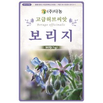 캣닙 1g - 캣닢 개박하 돌박하 고양이풀 허브 허브씨 허브씨앗 씨 씨앗 캣닢씨앗 캣닙씨앗 꽃씨 꽃씨앗 다년생 여러해살이 Catnip, 08_다농_보리지(1g)