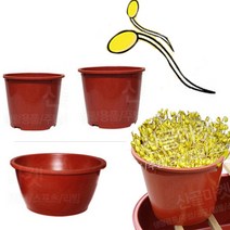 플라스틱 대형 콩나물시루 새싹 재배기 플라스틱 화분 식당 업소용, 기본형시루 (2호), 1개