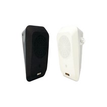 인터엠 IWS-10 6.5인치 10W 컬럼스피커 벽걸이형 매장 카페용, 화이트