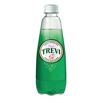 칠성 스파클링 탄산 제로 트레비 5종 복숭아 피치 에이드 무설탕 음료 300ml 20개, 1세트