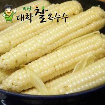 괴산대학찰옥수수냉동, 15개, 생물옥수수/냉동/껍질깐거