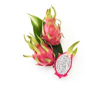 용과드래곤 후르츠 5kg내외8-12과내외