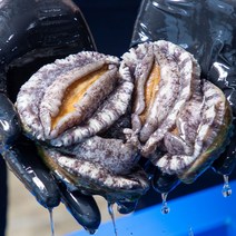 오렌지수산 해남 완도 활 전복 선물세트 꼬마, 1kg, 1호 왕특대 6~7미