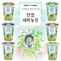 한컵새싹농장 씨앗키우기 6종 / 새싹기르기 모종키우기 씨앗 꽃 재배, 무순
