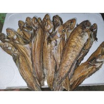 23년생산 동해안 곰치 곰치새끼 물곰 물메기 도루묵 곰치조림 물메기조림 제철반찬 술안주, 1개, 1kg