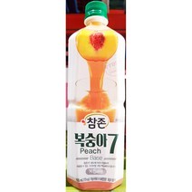 참존 복숭아 음료 베이스 농축액 835ml 1개, 1, 1, 본상품선택