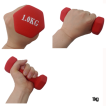 GO 아령 덤벨, 2kg