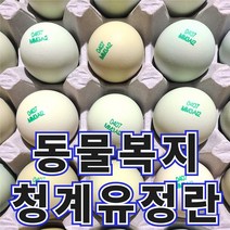 알부자 청계란 청계알 청계유정란 동물복지유정란 20구 40구 난각번호 2번