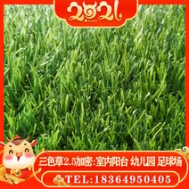 운동장 축구장 실내테니스장 인조잔디 매트 인공 베란다 정원 공사 애견운동장 카매트 루프탑, 청록색 대초 2.5㎝ 암호화 2x25m