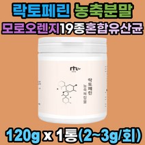 락토페린 농축복합물 분리유단백 모로오렌지 농축분말 19종 유산균 사균체 고순도 단백질 락토프리우유 초유 분말 가루 파우더 쉐이크 장용성 소화효소 소화잘되는 성인 저지방 전지 분유 자몽 레몬밤 여성 남성