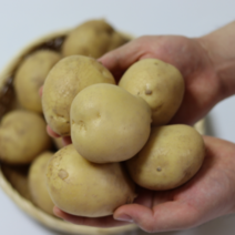 [방씨아들] 딱 1달만 나오는 홍감자 수미감자, 1box, 수미감자(흰감자)3kg(대)