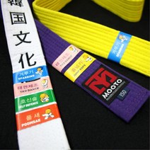 태권도학원용 프로그램 수행완료 띠밴드 10장세트, 기초체력