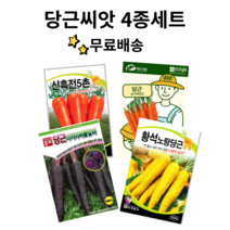 당근씨앗 4종세트 당근종자 자색당근 빨강당근 씨앗 채소씨앗 손가락당근 노랑당근