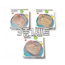 2000 프랜즈 고대 해양화석 발굴키트 3종1세트