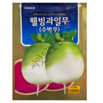 과일무 씨앗 100립 안토시아닌 다량함유 수박무종자 청피홍심 미래종묘