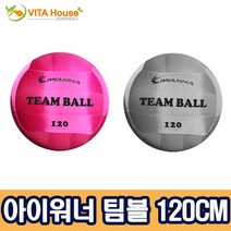 아이워너 팀볼 100cm120cm 2종 게임볼 킨볼게임, 그레이