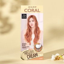 미장센 거품 퍼펙트 샤이닝염색 헬로버블 염색약 2개, 헬로크림 10WC 1+1